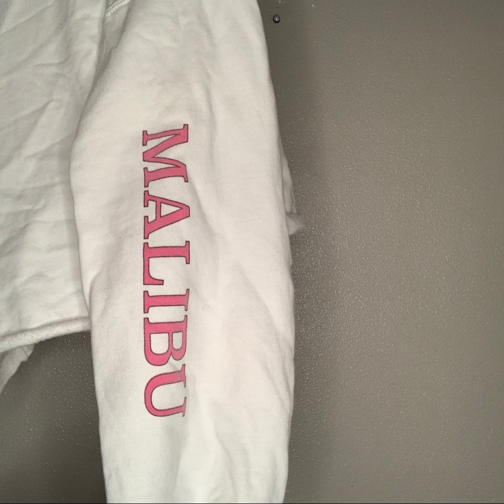 Brandy Melville Malibu Cropped Long Sleeve - Picture 4 of 4